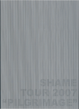 画像をギャラリービューアに読み込む, SHAME live archive vol.2 PILGRIMAGE TOKYO【DVD】